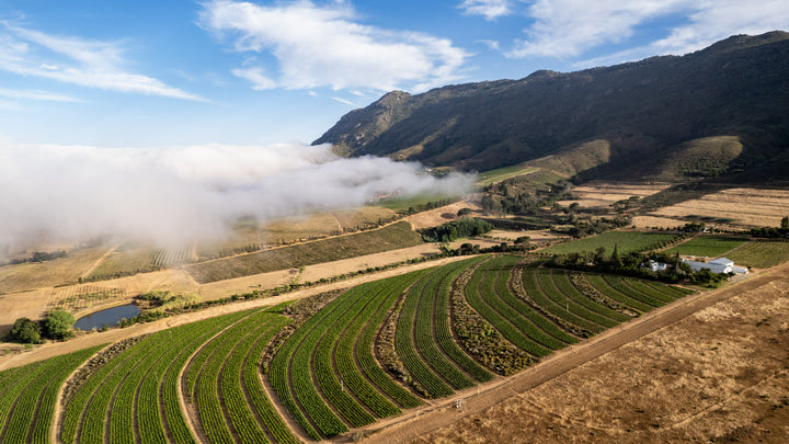 Past Event: Winemakers Dinner: Single Terroir Tasting with Chris Mullineux
