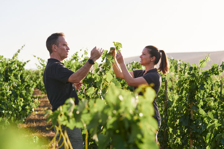 Past Event: Winemakers Dinner: Single Terroir Tasting with Chris Mullineux