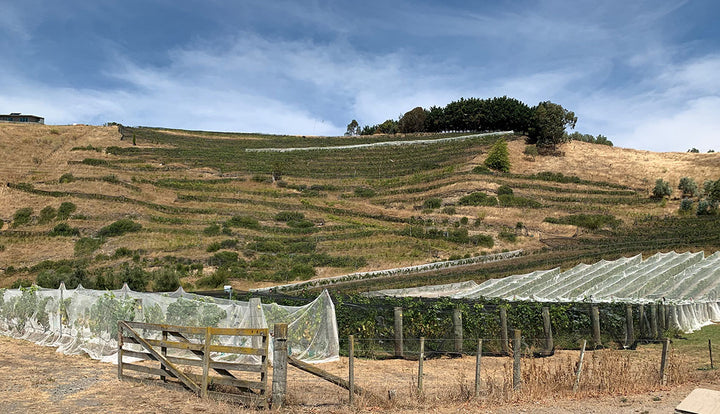 Past event: The Makers Masterclass Dinner