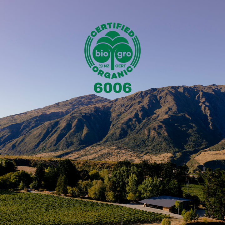 Winemakers Dinner: Coal Pit Masterclass with Anika Wilner