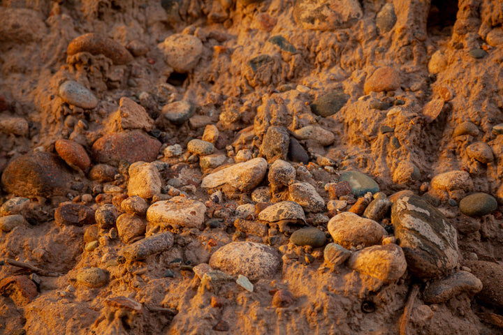 Wine Dinner: Catena Zapata - The High Altitude Story