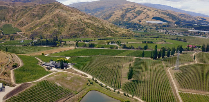Past Event: A 20 year Pinot Noir Journey with Felton Road's Blair Walter.