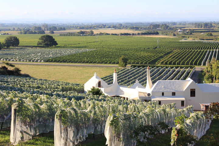 Winemakers Dinner: Te Mata, Coleraine, 40 Vintages, 25 years in the Glass