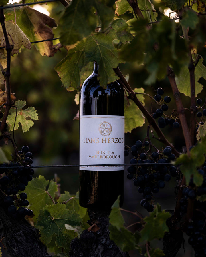 Past event: Winemaker Series: 'At the Table' with Hans and Therese Herzog