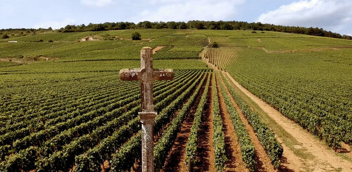 A Seat at the Table: The New Zealand Wine Story with David Nash
