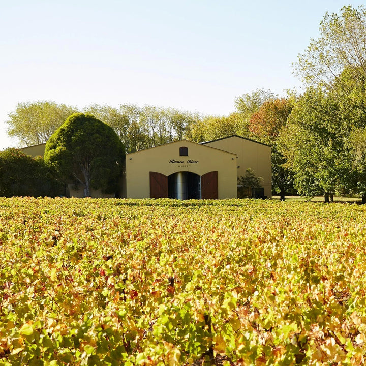 Past Event:  Winemakers Dinner: A Masterclass with Kumeu River, Ray's Road Chardonnay Vertical