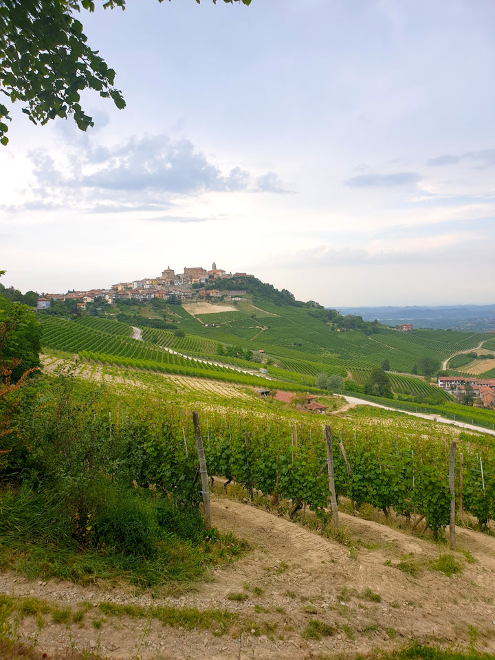 Wine Dinner: A Barolo Masterclass with Matangi Farms Beef