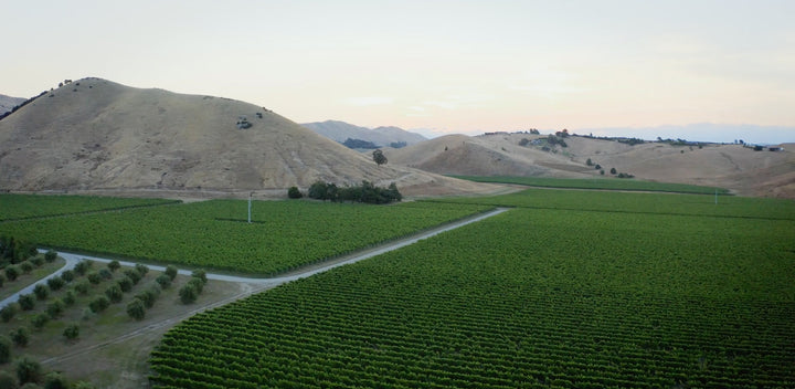 A Seat at the Table: The New Zealand Wine Story with David Nash