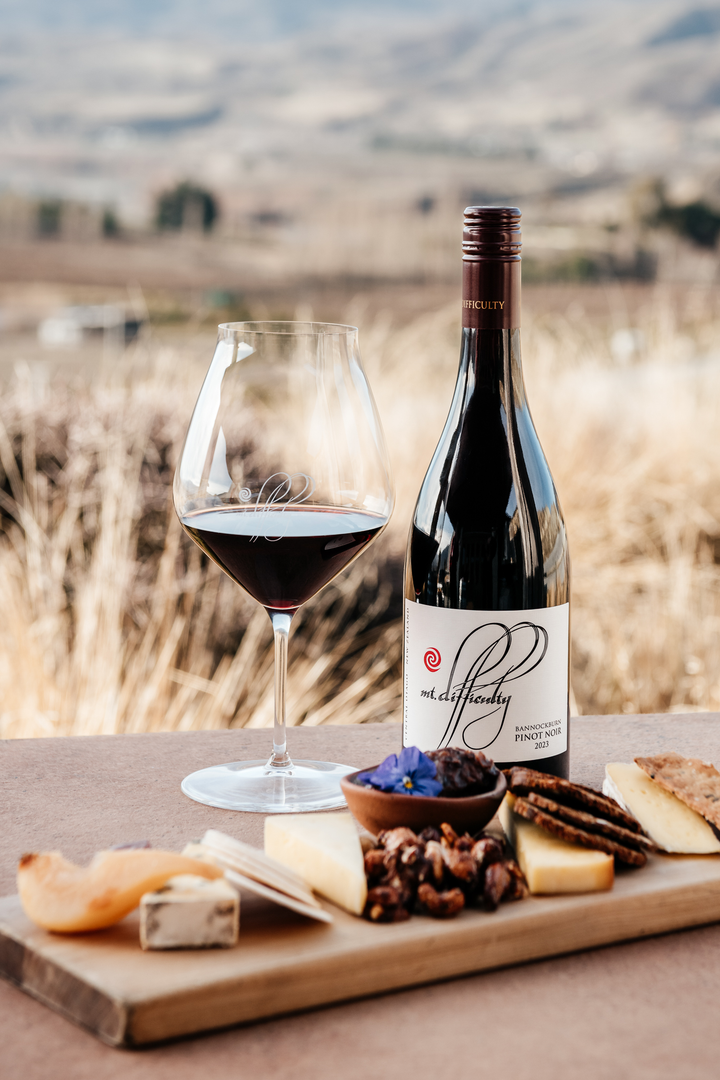 Experience: A Deep Dive into Otago at The Wine Room