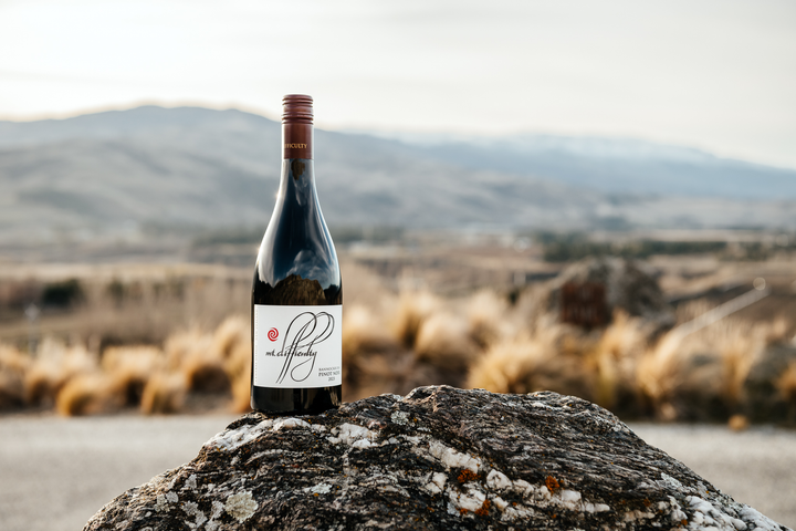 Experience: A Deep Dive into Otago at The Wine Room