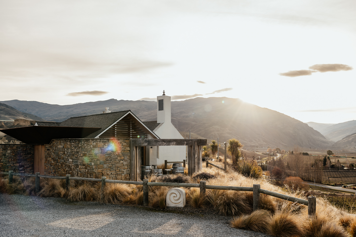 Experience: A Deep Dive into Otago at The Wine Room