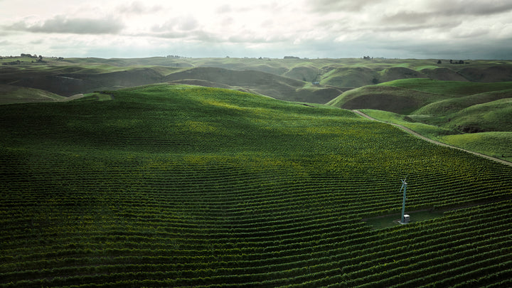 Past Event:  Winemakers Dinner: A Masterclass with Kumeu River, Ray's Road Chardonnay Vertical
