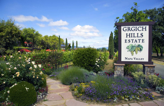 Grgich Hills Tasting Experience