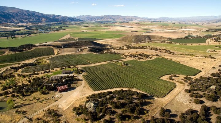 Past Event: Winemakers Dinner:  Celebrate 20 Vintages of Paul Pujol with Prophet's Rock.