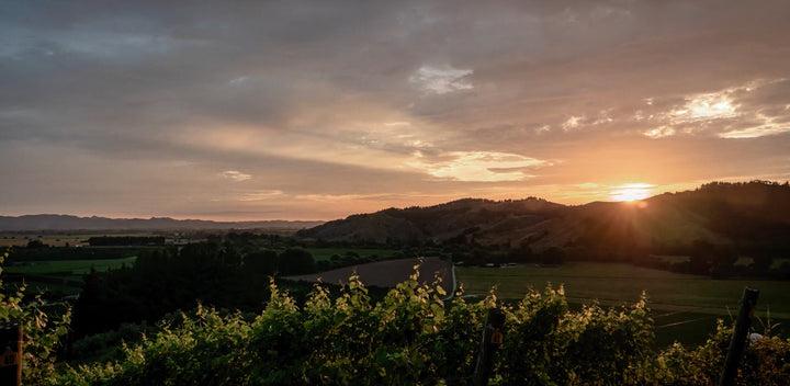 A Seat at the Table: The New Zealand Wine Story with David Nash