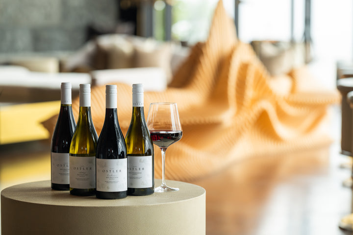 Past Experience: A Deep Dive into Otago at The Wine Room